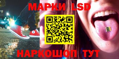 МДПВ Новокубанск