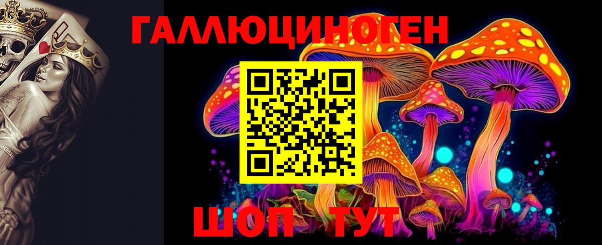 Галлюциногенные грибы мицелий  Галлюциногенные грибы Psilocybe  Вход с VPN  Тольятти 